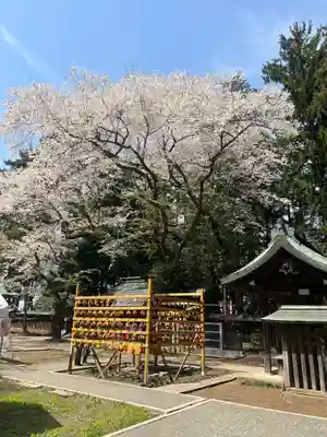 駒形神社(岩手県)