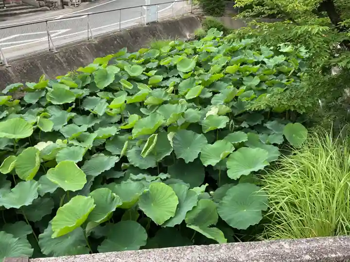 笠覆寺 (笠寺観音)(愛知県)