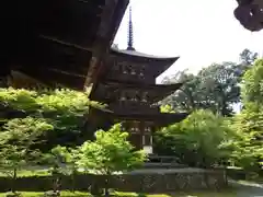 西明寺の塔