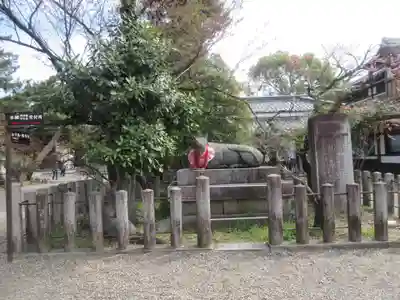 北野天満宮(京都府)