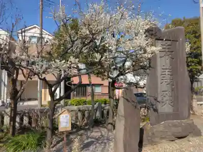 吾妻神社(神奈川県)