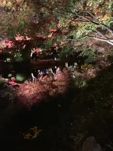 東寺（教王護国寺）の景色