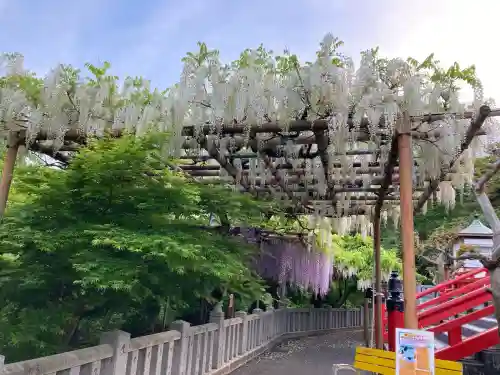 観音山慈眼院（高崎観音）(群馬県)