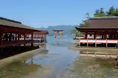 厳島神社(広島県)