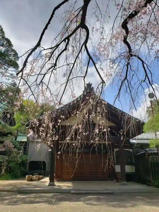 龍光寺(東京都)