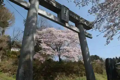 菅布禰神社の鳥居