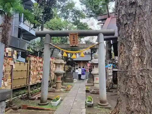 高円寺氷川神社の鳥居