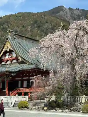 久遠寺の{uncategorized: "未分類", other: "その他", undefined: "問題あり", building: "その他建物", grave: "お墓", sacred_gate: "鳥居", guardian: "狛犬", statue: "像", buddha: "仏像", history: "歴史", nature: "自然", garden: "庭園", animal: "動物", pagoda: "塔", temizu: "手水舎", mountain_gate: "山門・神門", sanctuary: "本殿・本堂", subordinate: "末社・摂社", art: "芸術", scenery: "景色", jizo: "地蔵", ema: "絵馬", goshuin: "御朱印", omikuji: "おみくじ", items: "授与品その他", amulet: "お守り", goshuincho: "御朱印帳", eats: "食事", festival: "お祭り", votive_dance: "神楽", shichigosan: "七五三参", wedding: "結婚式", experience: "体験その他", initially: "初詣", around: "周辺", anti_infection: "感染症対策"}