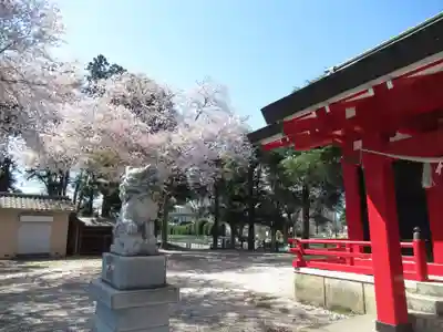 香取神社(千葉県)