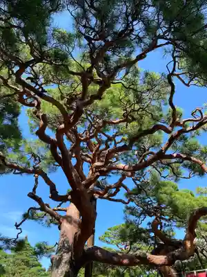 善光寺大勧進(長野県)