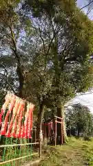 大森神社の鳥居