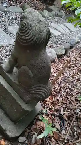 菊田神社の狛犬