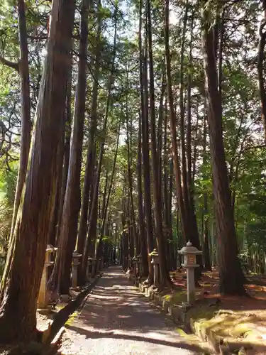 東大野八幡神社(福岡県)