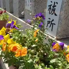 金神社の庭園