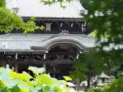 三室戸寺の本殿