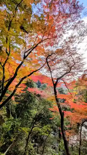 勝尾寺(大阪府)