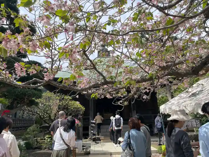 極楽寺(霊鷲山感應院極楽律寺)の本殿・本堂