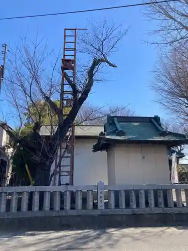 寄木神社(神奈川県)