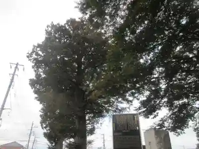 梅岩寺(東京都)