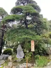 宝登山神社の自然