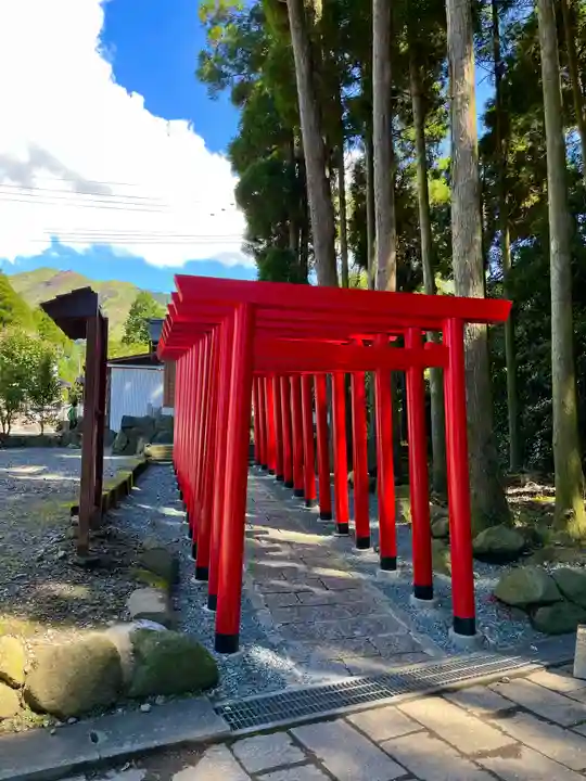 阿蘇白水龍神權現~白蛇神社~の鳥居