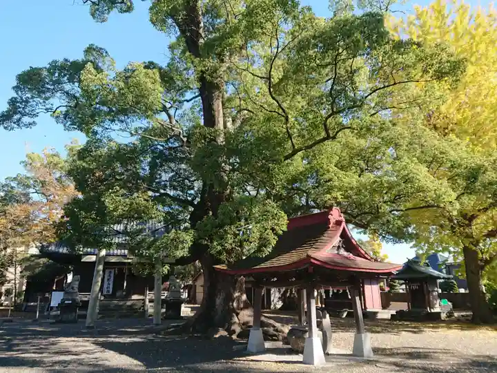 軍神社のその他建物