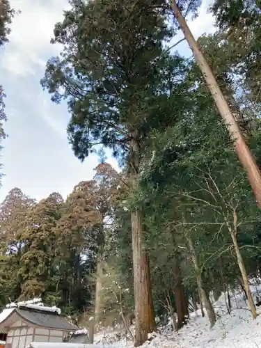 御形神社(兵庫県)