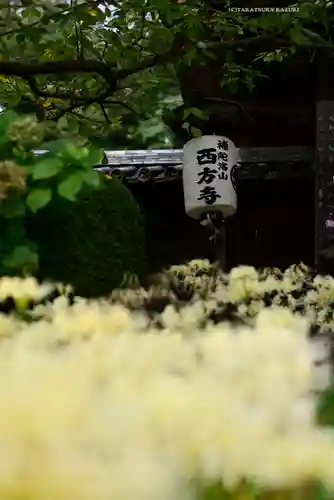 横浜　西方寺(神奈川県)