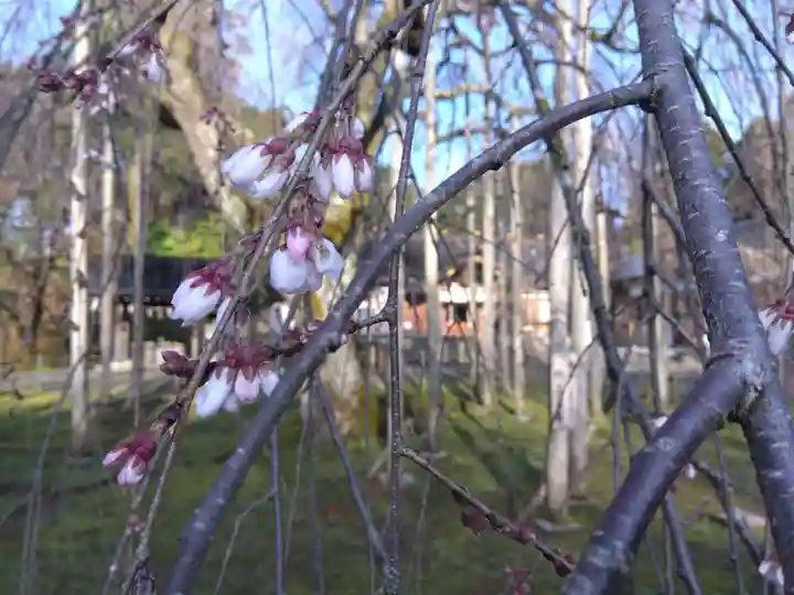 足羽神社(福井県)