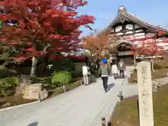 高台寺（高台寿聖禅寺・高臺寺）(京都府)