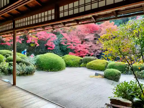 詩仙堂（丈山寺）の庭園