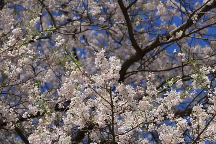 十一面観音堂の自然