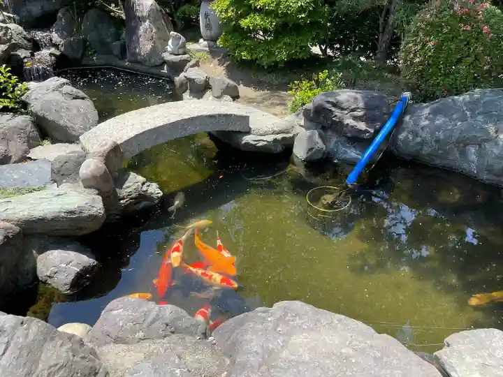 尾張猿田彦神社(愛知県)