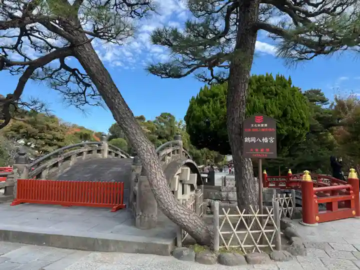 鶴岡八幡宮の自然