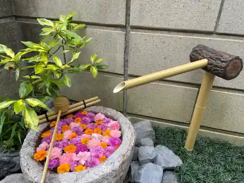 妙櫻寺のその他建物