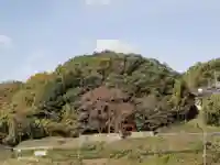石床神社旧社地の自然