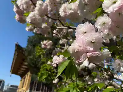 福王山  慈眼寺(東京都)