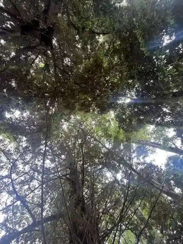 朝日森天満宮(栃木県)