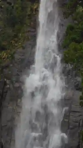 飛瀧神社（熊野那智大社別宮）の{uncategorized: "未分類", other: "その他", undefined: "問題あり", building: "その他建物", grave: "お墓", sacred_gate: "鳥居", guardian: "狛犬", statue: "像", buddha: "仏像", history: "歴史", nature: "自然", garden: "庭園", animal: "動物", pagoda: "塔", temizu: "手水舎", mountain_gate: "山門・神門", sanctuary: "本殿・本堂", subordinate: "末社・摂社", art: "芸術", scenery: "景色", jizo: "地蔵", ema: "絵馬", goshuin: "御朱印", omikuji: "おみくじ", items: "授与品その他", amulet: "お守り", goshuincho: "御朱印帳", eats: "食事", festival: "お祭り", votive_dance: "神楽", shichigosan: "七五三参", wedding: "結婚式", experience: "体験その他", initially: "初詣", around: "周辺", anti_infection: "感染症対策"}