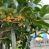 八王子成田山傳法院の自然