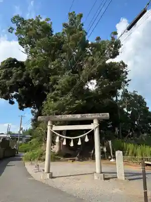 天御中主神社(千葉県)