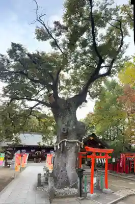 新田神社(東京都)