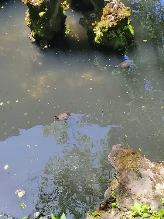 成田山新勝寺(千葉県)