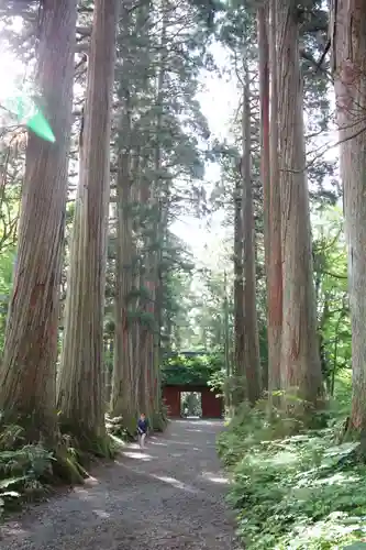 戸隠神社奥社のその他建物