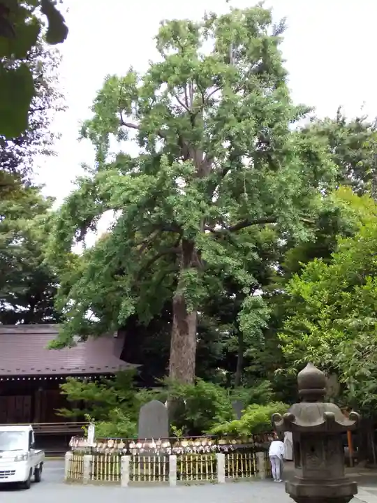 阿佐ヶ谷神明宮のその他建物