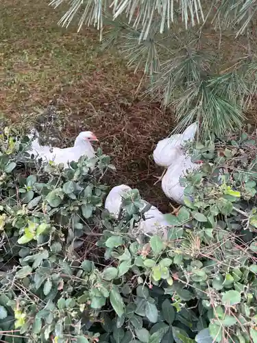 伊勢神宮内宮（皇大神宮）(三重県)
