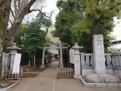 神明氷川神社の鳥居