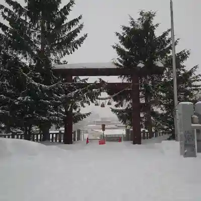 上手稲神社の鳥居