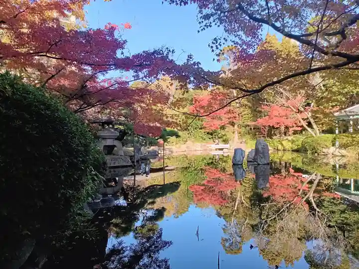 四天王寺(大阪府)