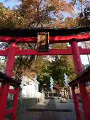 浅間日月神社の鳥居